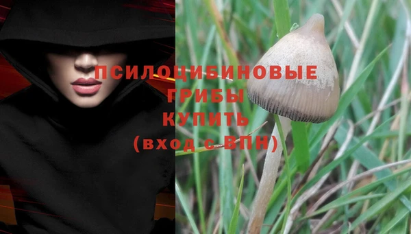 тгк Покров